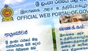 Government Web Sites