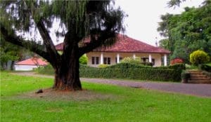 Property & Land Sales