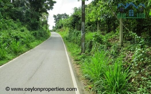 Ref : CS246- Opportunity for Wonderful Investment