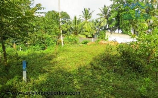 Ref : CS246- Opportunity for Wonderful Investment