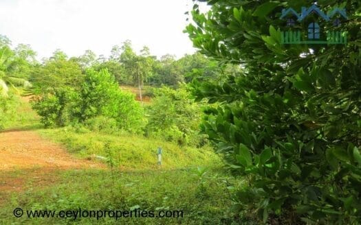 Ref : CS246- Opportunity for Wonderful Investment