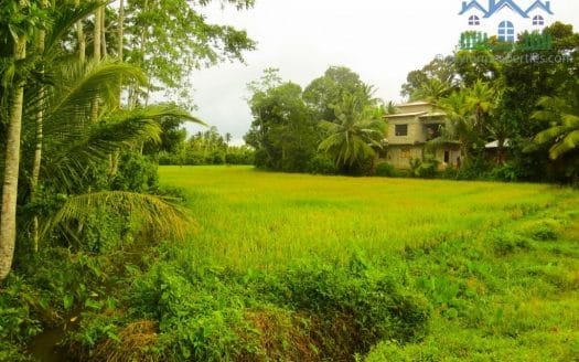 Ref : CS265 -Paddy Front Land in Weligama area