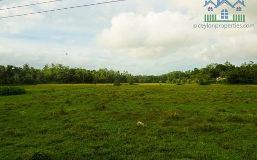 Ref : CS265 -Paddy Front Land in Weligama area