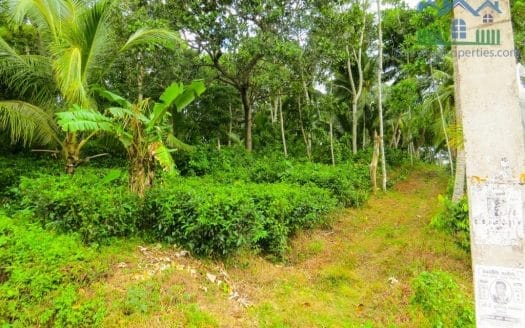 Ref : CS265 -Paddy Front Land in Weligama area