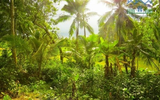 Ref : CS265 -Paddy Front Land in Weligama area