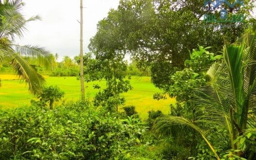 Ref : CS265 -Paddy Front Land in Weligama area