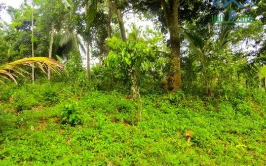 Ref : CS265 -Paddy Front Land in Weligama area