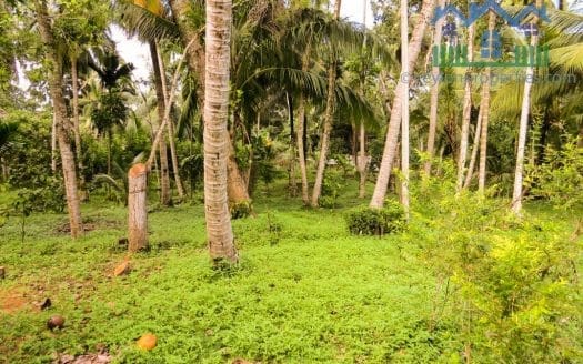 Ref : CR268 -Rental Property near Unawatuna