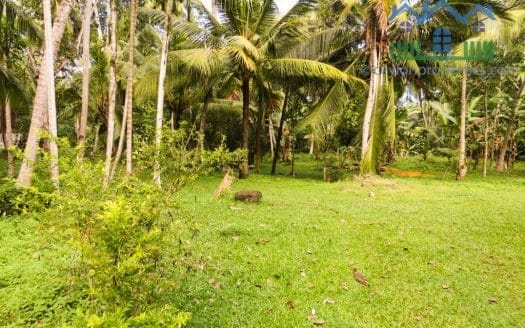 Ref : CR268 -Rental Property near Unawatuna