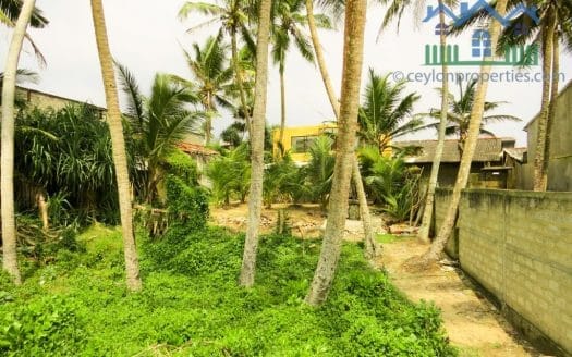 Ref : CS273 -Opportunity to own a Hotel on the Beach