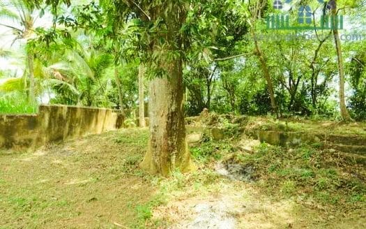 Ref : CS281 -Ideal Beach View Property