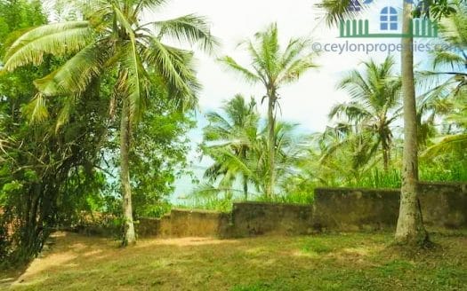 Ref : CS281 -Ideal Beach View Property