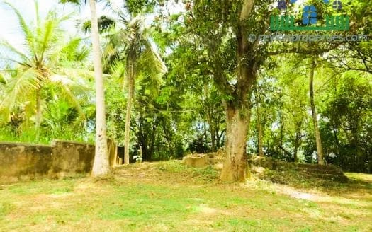 Ref : CS281 -Ideal Beach View Property