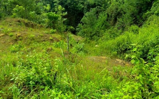 Ref : CS293 – Close Sea View Property in Unawatuna