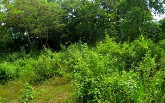 Ref : CS293 – Close Sea View Property in Unawatuna