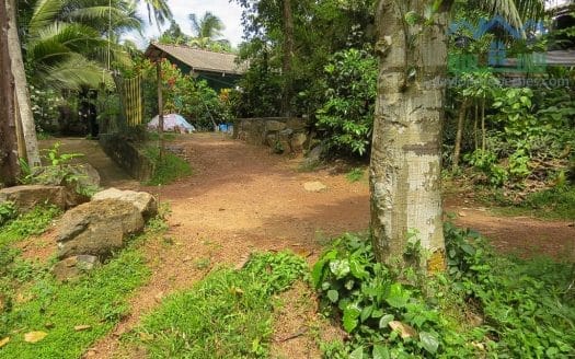 Ref : CS299 -Ideal Property Inland Thalpe