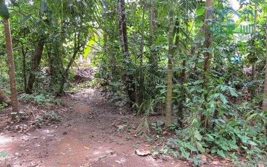 Ref : CS299 -Ideal Property Inland Thalpe