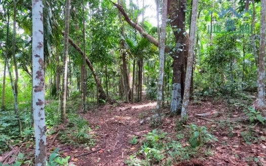 Ref : CS299 -Ideal Property Inland Thalpe