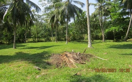 Ref : CS305 – Prime Paddy – View Plot in Meepe