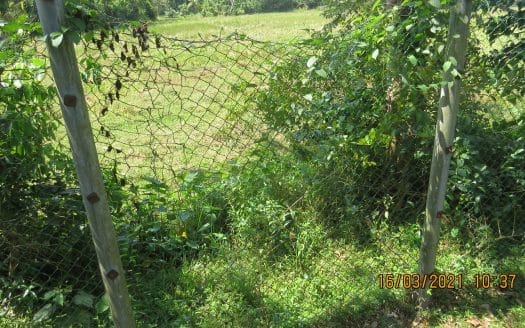 Ref : CS305 – Prime Paddy – View Plot in Meepe