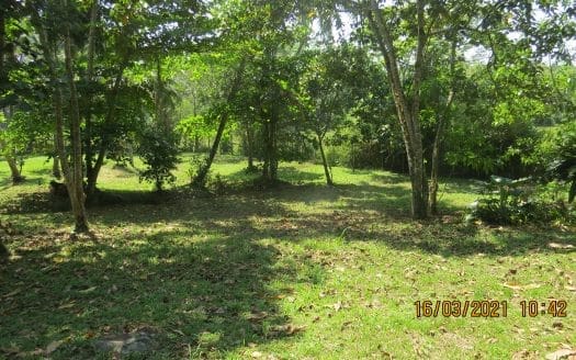 Ref : CS305 – Prime Paddy – View Plot in Meepe