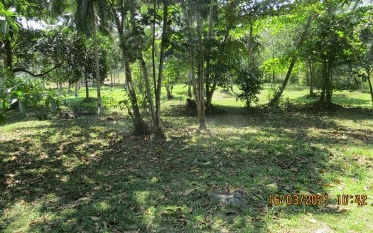 Ref : CS305 – Prime Paddy – View Plot in Meepe