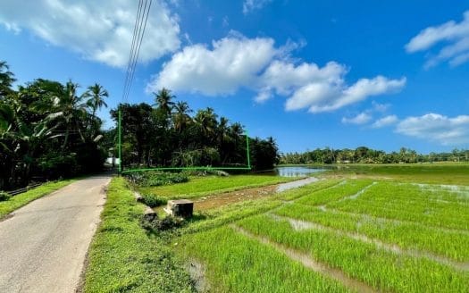 Ref : CS306 – Paddy View Plot in Ahangama