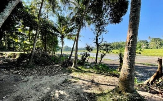 Ref : CS306 – Paddy View Plot in Ahangama