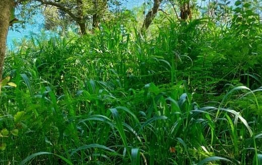 Ref : CS353 – Sea View Property in Tangalle