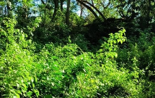 Ref : CS353 – Sea View Property in Tangalle