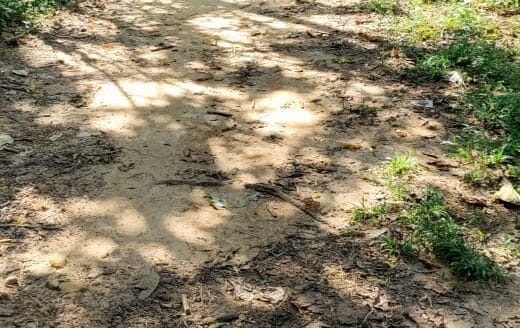 Ref : CS353 – Sea View Property in Tangalle