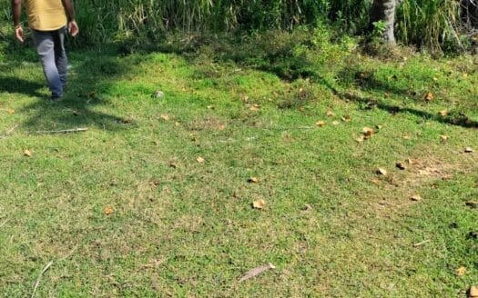 Ref : CS354 -Elevated Beach Front in Hiriketiya Nilwella