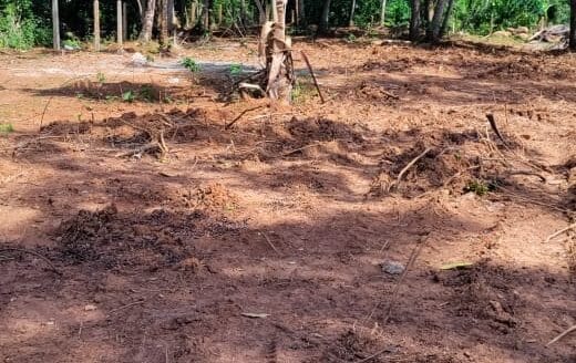 Ref : CS352 -Sea View Property in Dikwella Maaliyadda