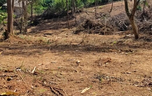 Ref : CS352 -Sea View Property in Dikwella Maaliyadda