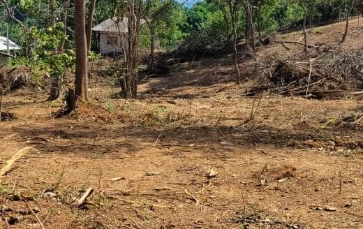 Ref : CS352 -Sea View Property in Dikwella Maaliyadda