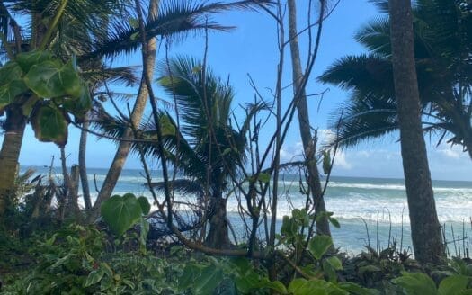 Ref : CS350 – Gorgeous Beach Property in Thalpe, Galle