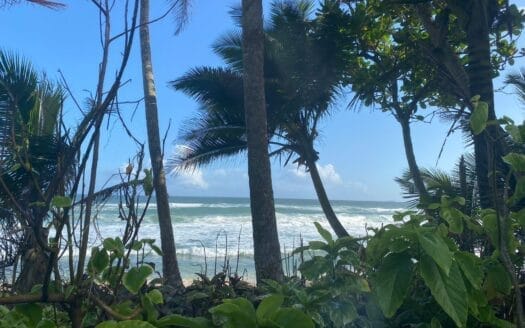 Ref : CS350 – Gorgeous Beach Property in Thalpe, Galle